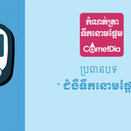 ប្រធានបទ៖ ជំងឺទឹកនោមផ្អែម