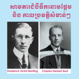 សាវតារជំងឺទឹកនោមផ្អែម និង កាលប្រវត្តិសំខាន់ៗ